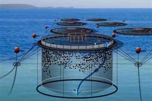 پیش بینی برداشت بالغ بر شش هزار تن ماهی در قفس در هرمزگان - خبرگزاری آنلاین | اخبار ایران و جهان