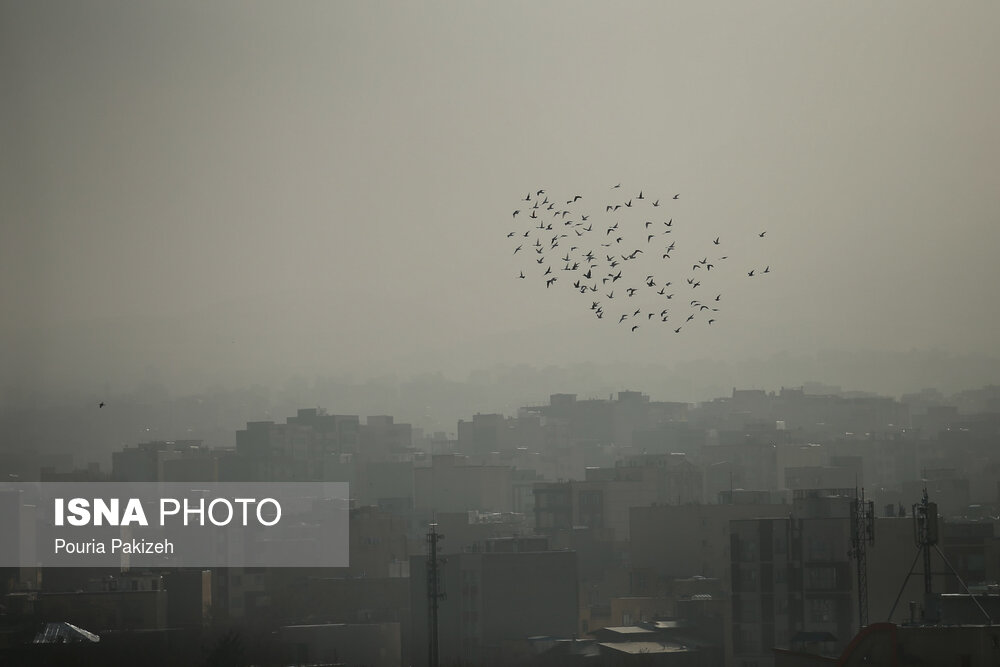 قانون هوای پاک؛ معلق در آلودگی هوای کلان شهرها