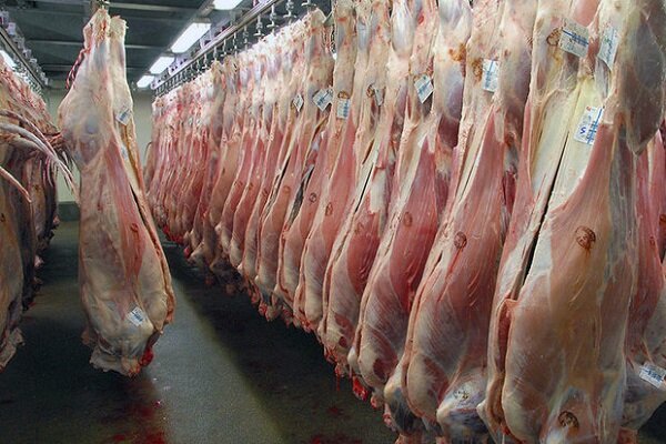 کاهش قیمت گوشت بوقلمون در میادین میوه و تره بار - خبرگزاری آنلاین | اخبار ایران و جهان