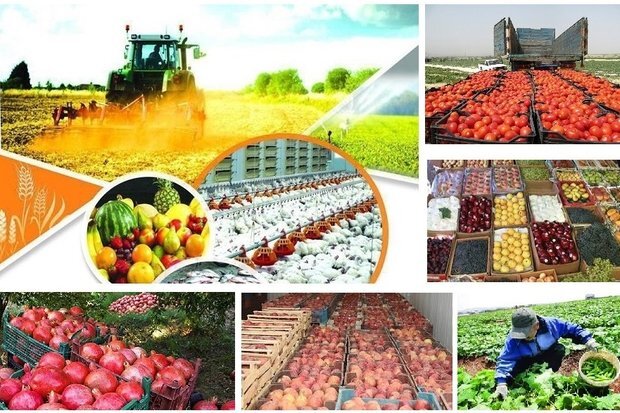 افزایش ۶ برابری تولید محصولات کشاورزی در لرستان - خبرگزاری آنلاین | اخبار ایران و جهان