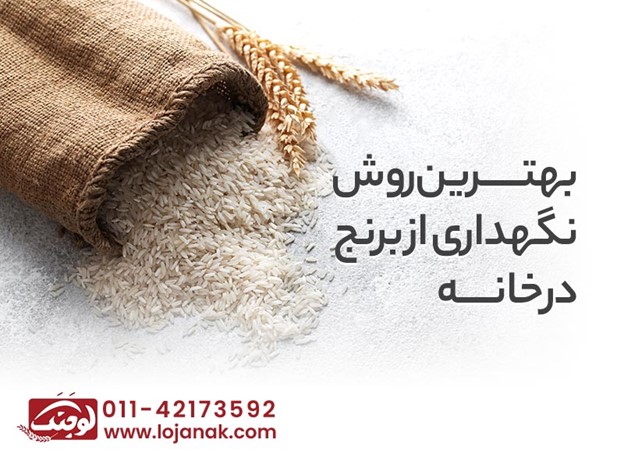 بهترین برنج ایرانی | بهترین روش برای نگهداری برنج خشک