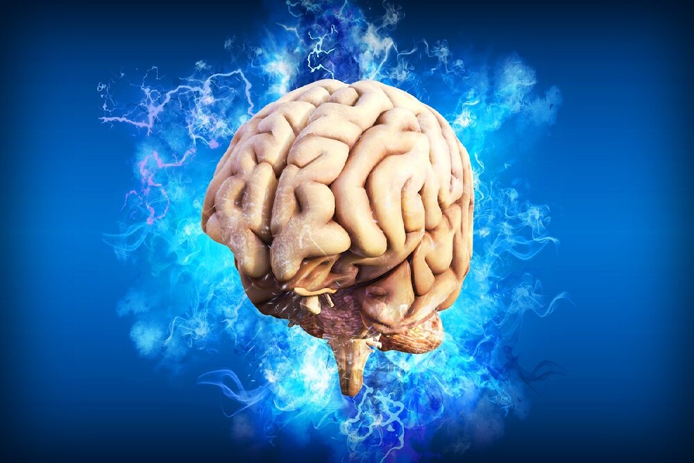 مغز دوم انسان کجای بدن قرار دارد؟